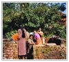 9/Nepal 228 site.jpg